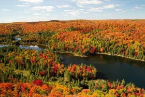 Du lịch Khu rừng đa màu sắc trong tiết trời thu tại Canada