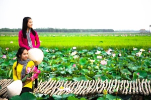 Cả cánh đồng xanh bạt ngàn điểm xuyết những bông hoa hồng thắm. Còn gì đẹp bằng du lịch Sài Gòn tại các hồ sen, làng sen thơ mộng đến thế.